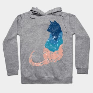 Pink And Blue Clouds Cat Hoodie